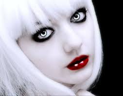 quin fabray