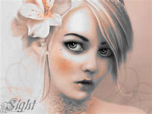 Sight