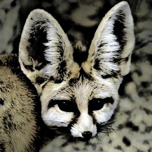 Neologist