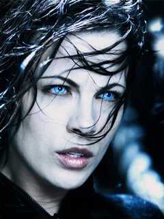 renesmee wolf