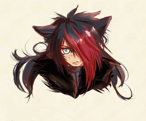 Lord Zorua